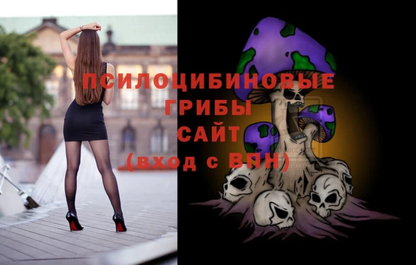 меф Арсеньев