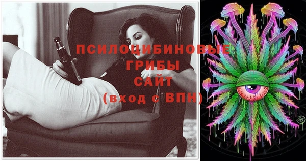 стаф Алексеевка