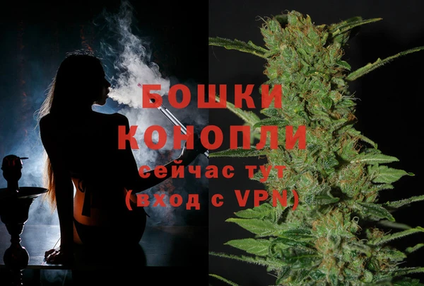меф Арсеньев