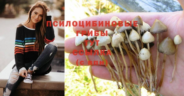 метадон Аркадак