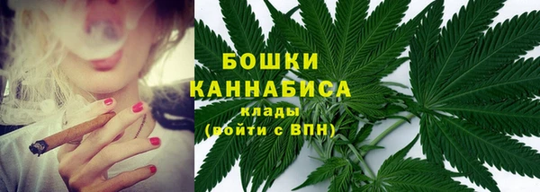 тгк Шадринск