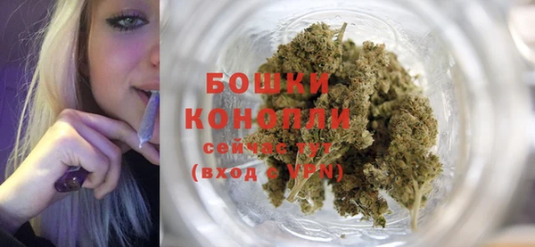 хмурый Шали