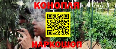 МДПВ Лесосибирск