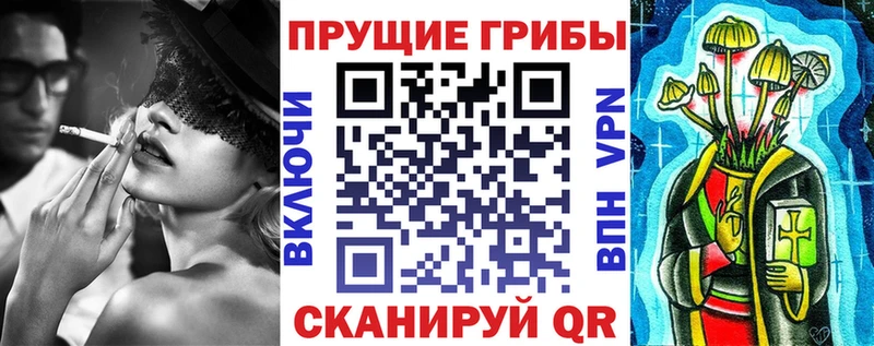 Псилоцибиновые грибы ЛСД  ссылка на мегу ссылки  Тамбов  купить закладку 