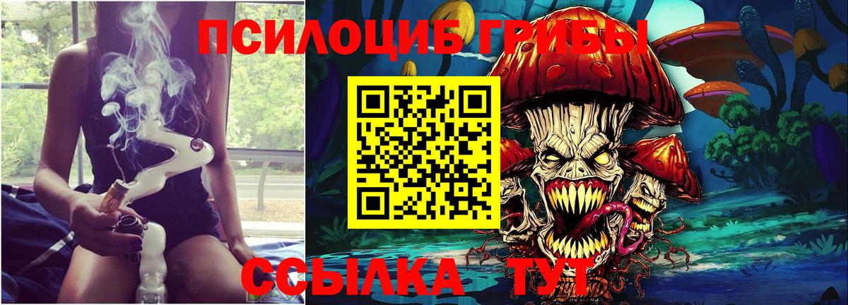 Галлюциногенные грибы Psilocybe Тамбов