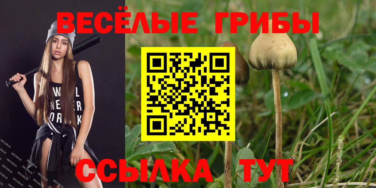 Псилоцибиновые грибы ЛСД  Вход с VPN  Псилоцибиновые грибы Magic Shrooms  Тамбов 